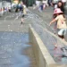 Hitzewelle in Wien: Stadt ruft zum Wassersparen auf