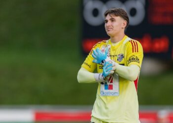 Polster sagt Österreich ade – Ausland als klares Ziel