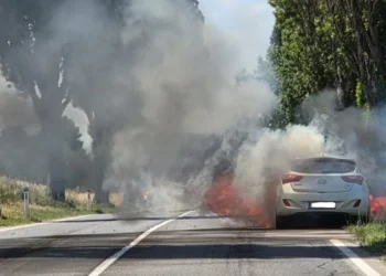 Flammen auf der Bundesstraße 1: Fahrzeug vollständig zerstört