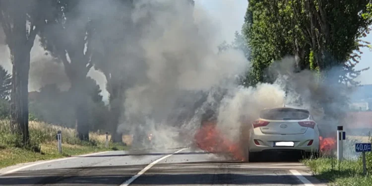 Flammen auf der Bundesstraße 1: Fahrzeug vollständig zerstört