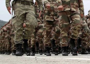 Avusturya’daki Türkler İçin Dövizle Askerlik Başvuruları Yeniden Başladı