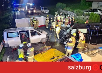 Schwerer Verkehrsunfall im Pinzgau: Frontal-Kollision zweier Kleinbusse fordert ein Todesopfer und 7 Verletzte!