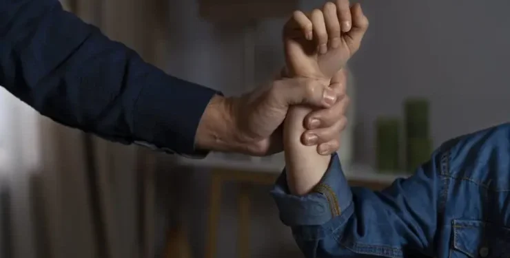 Viyana 15. Bölge’de Şok Olay: 4 Yaşındaki Çocuğu Evine Kaçıran 72 Yaşındaki Adam Tutuklandı!