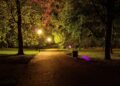 Viyana Stadtpark’ta Gece Yarısı Dehşeti: Genç Çifte Bıçaklı ve Yumruklu Saldırı!
