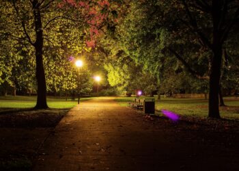 Viyana Stadtpark’ta Gece Yarısı Dehşeti: Genç Çifte Bıçaklı ve Yumruklu Saldırı!