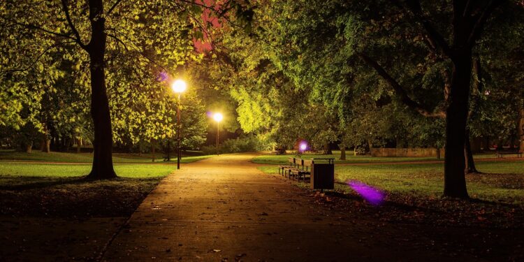 Viyana Stadtpark’ta Gece Yarısı Dehşeti: Genç Çifte Bıçaklı ve Yumruklu Saldırı!